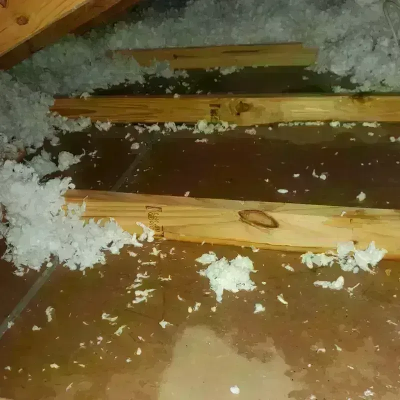 Attic Water Damage in Fairfield, TX