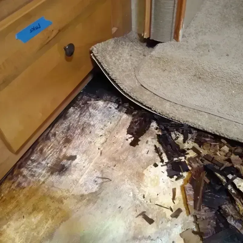 Wood Floor Water Damage in Fairfield, TX